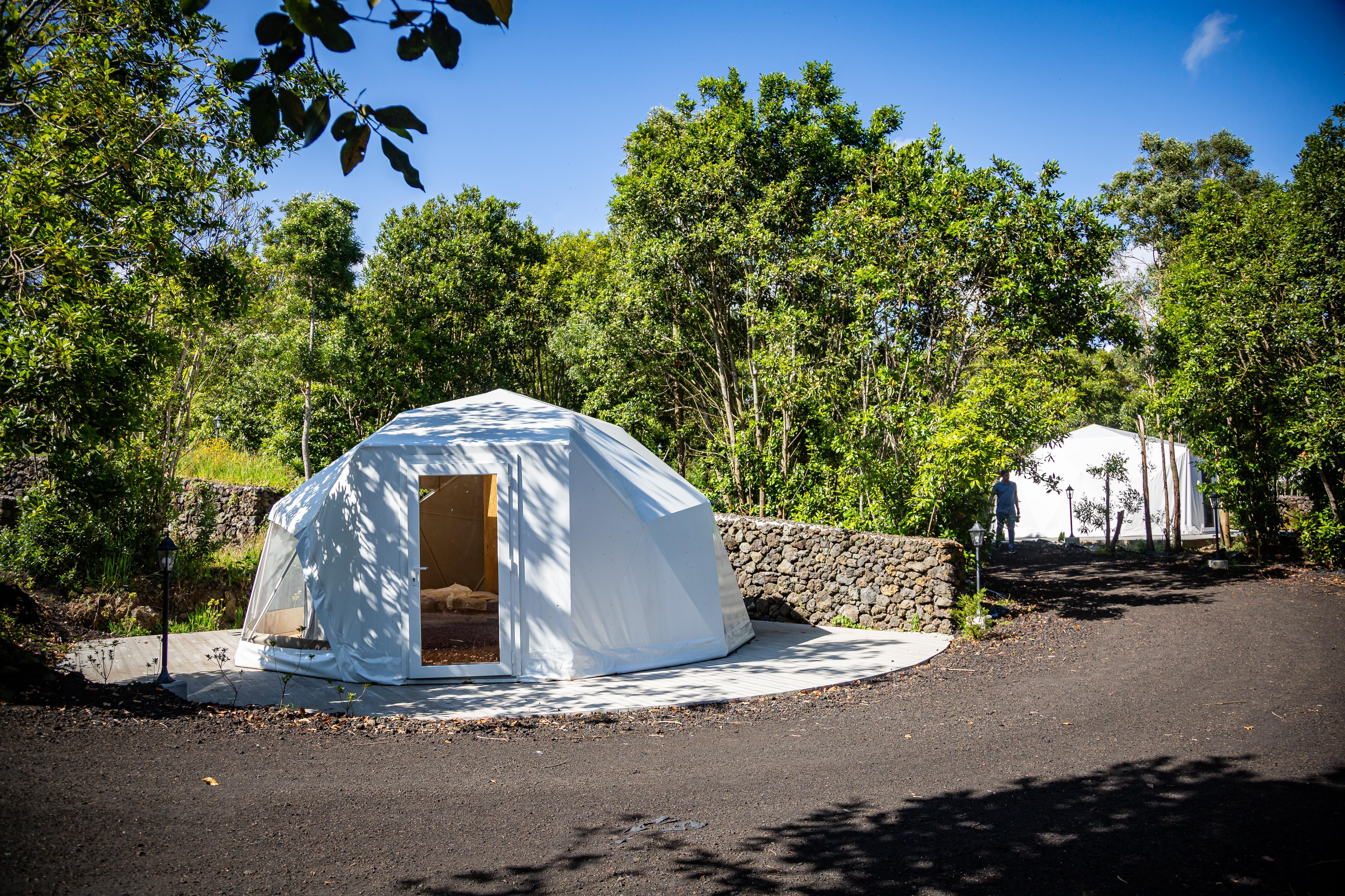 Domes Azália